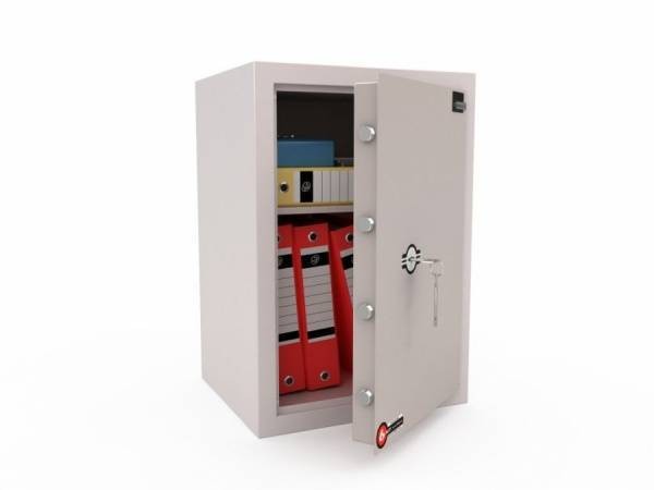 Лёгкий сейф  LS-010 R купить в Томске